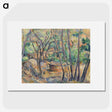 2-11_Paul-Cezanne_picture