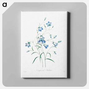 アートパネル-Campanule - ピエール ジョゼフ ルドゥーテ Canvas.