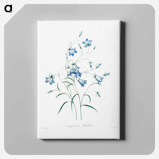 アートパネル-Campanule - ピエール ジョゼフ ルドゥーテ Canvas.