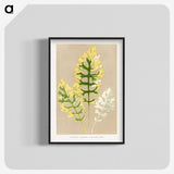 2-11_Plants-with-Colored-Foliage_blk-crop