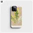 2-11_Plants-with-Colored-Foliage_phone
