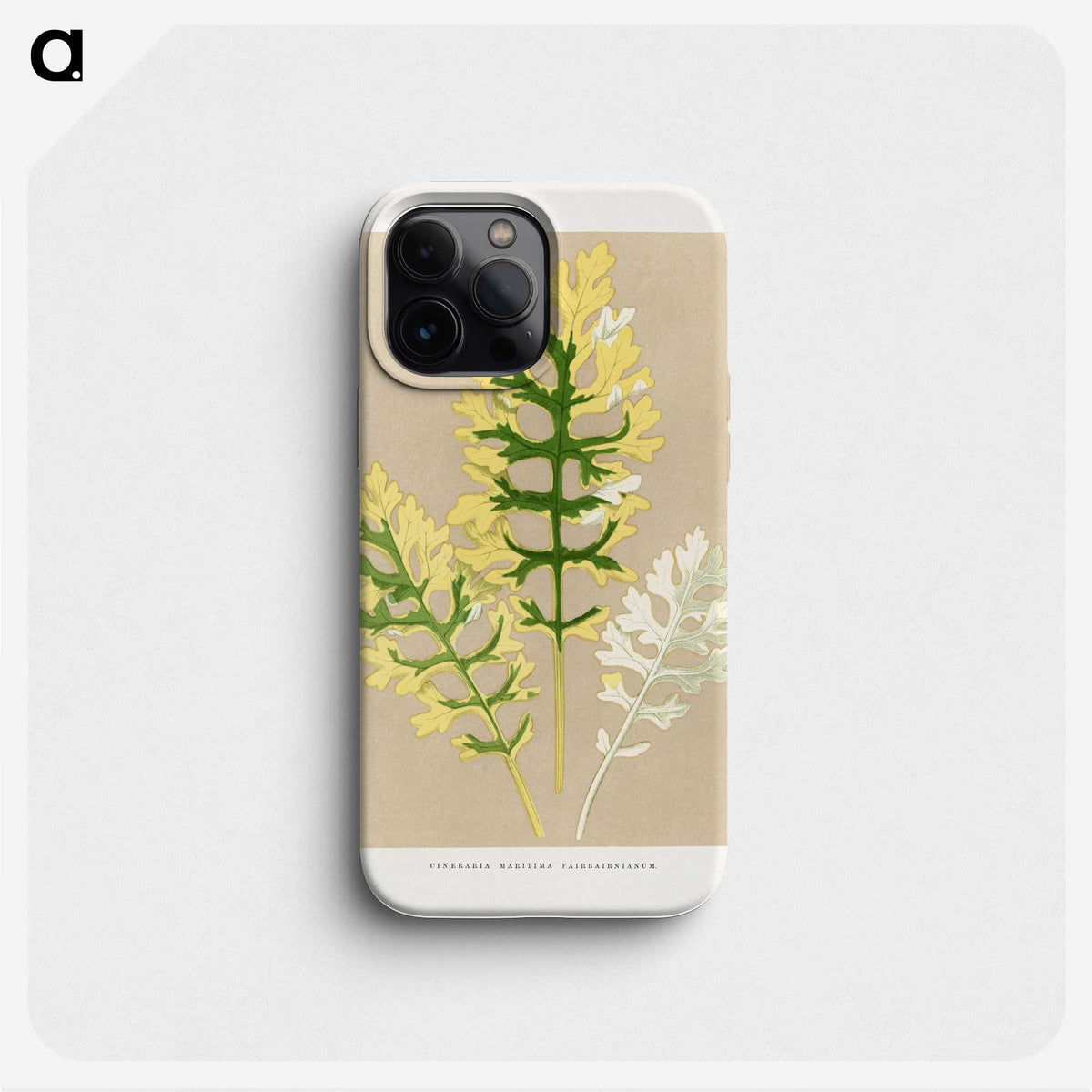 2-11_Plants-with-Colored-Foliage_phone