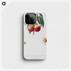 2-11_Pomona-Italiana_phone