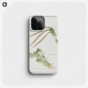 2-11_Robert-Jacob-Gordon_phone