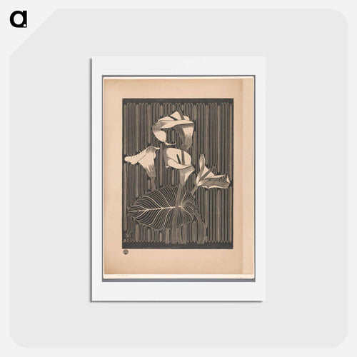 Aronskelken
 - サミュエル ジェスルン Postcard.