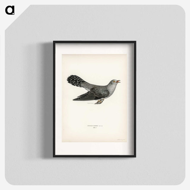 2-11_Svenska-Faglar_blk