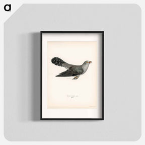 アートポスター-Common Cuckoo
 - スヴェンスカ フォグラル Poster.