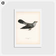 アートポストカード-Common Cuckoo
 - スヴェンスカ フォグラル Postcard.