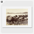2-11_The-Burton-Brothers_picture