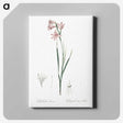 2-11_The-Lilies_canvas