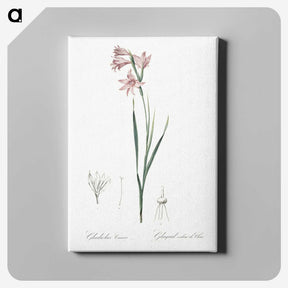 2-11_The-Lilies_canvas