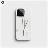 2-11_The-Lilies_phone