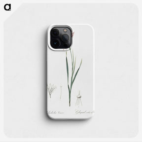 2-11_The-Lilies_phone
