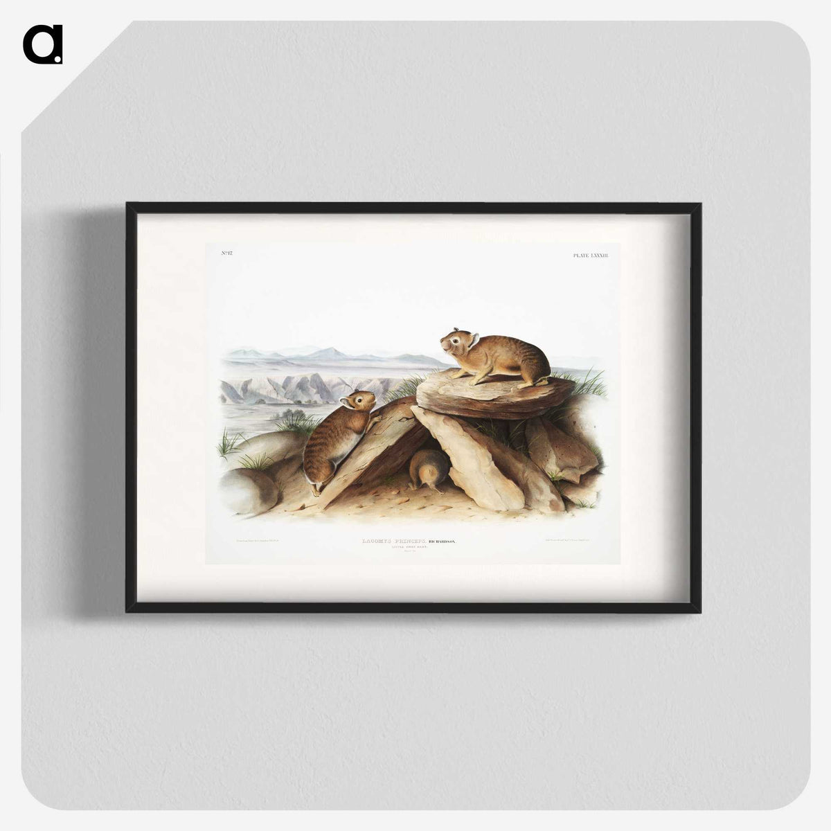 2-11_The-Viviparous-Quadrupeds_blk