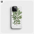 2-11_Treatise-on-Trees-and-Shrubs_phone