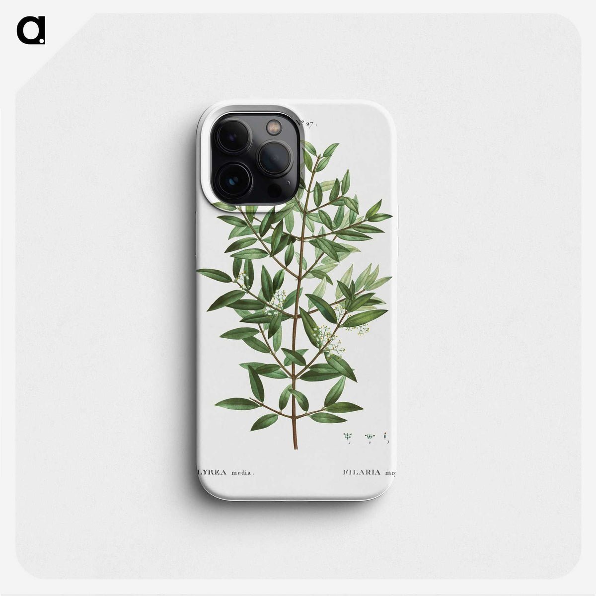 2-11_Treatise-on-Trees-and-Shrubs_phone