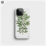 2-11_Treatise-on-Trees-and-Shrubs_phone