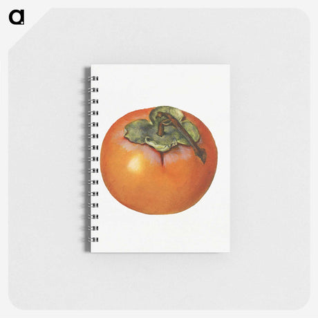 2-11_USDA-Watercolor-Fruit-Painting-Collection_memo
