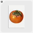 2-11_USDA-Watercolor-Fruit-Painting-Collection_postcard