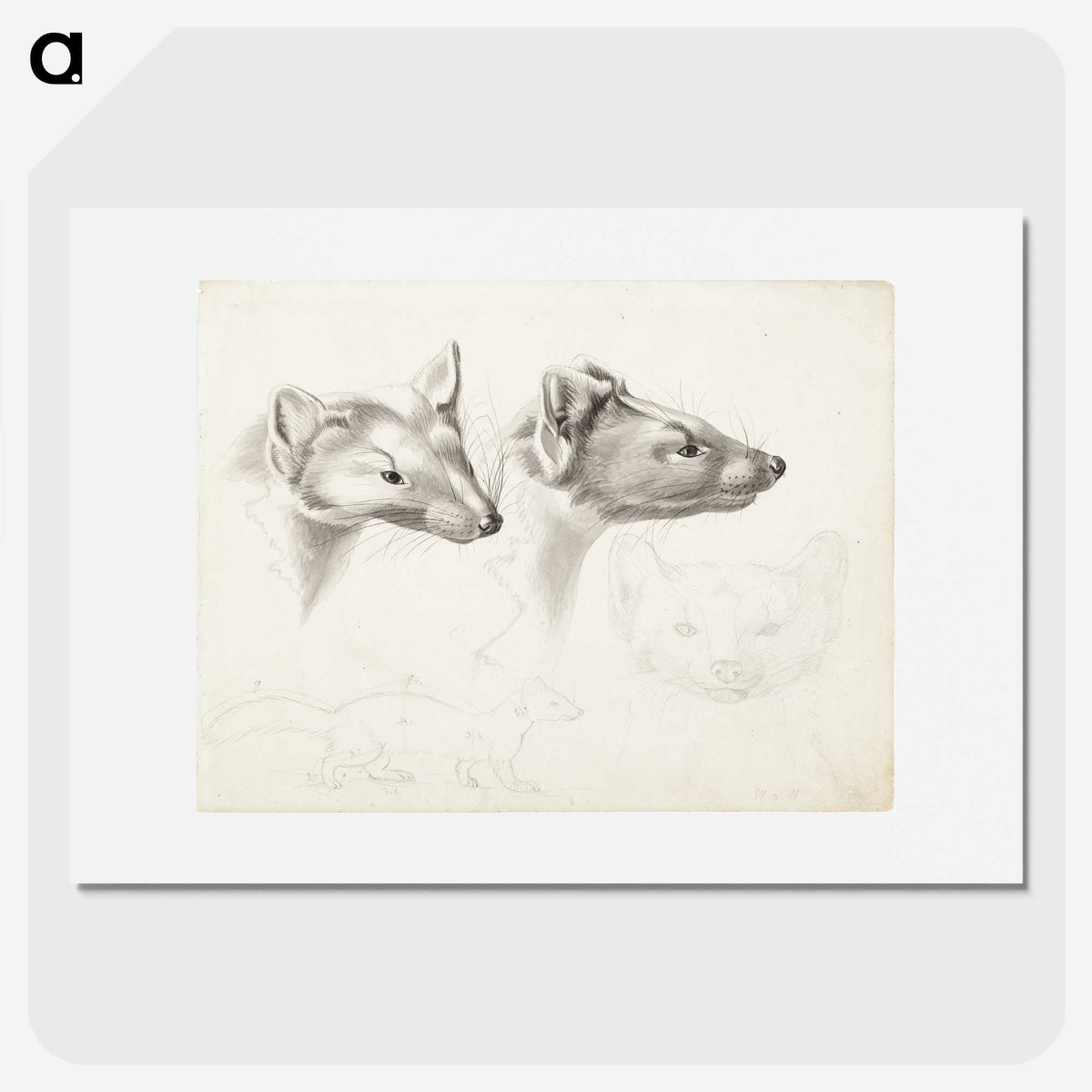 2-11_Wilhelm-von-Wright_picture