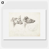 2-11_Wilhelm-von-Wright_picture