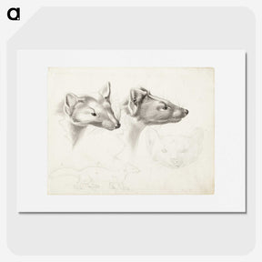 2-11_Wilhelm-von-Wright_picture
