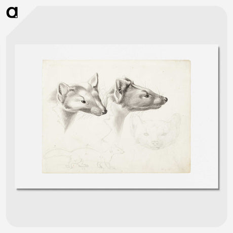 2-11_Wilhelm-von-Wright_picture