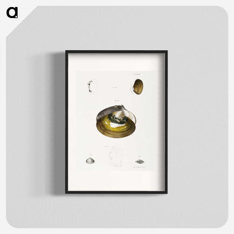 2-11_Zoology-of-New-York_blk
