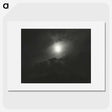 2-12_Alfred-Stieglitz_picture