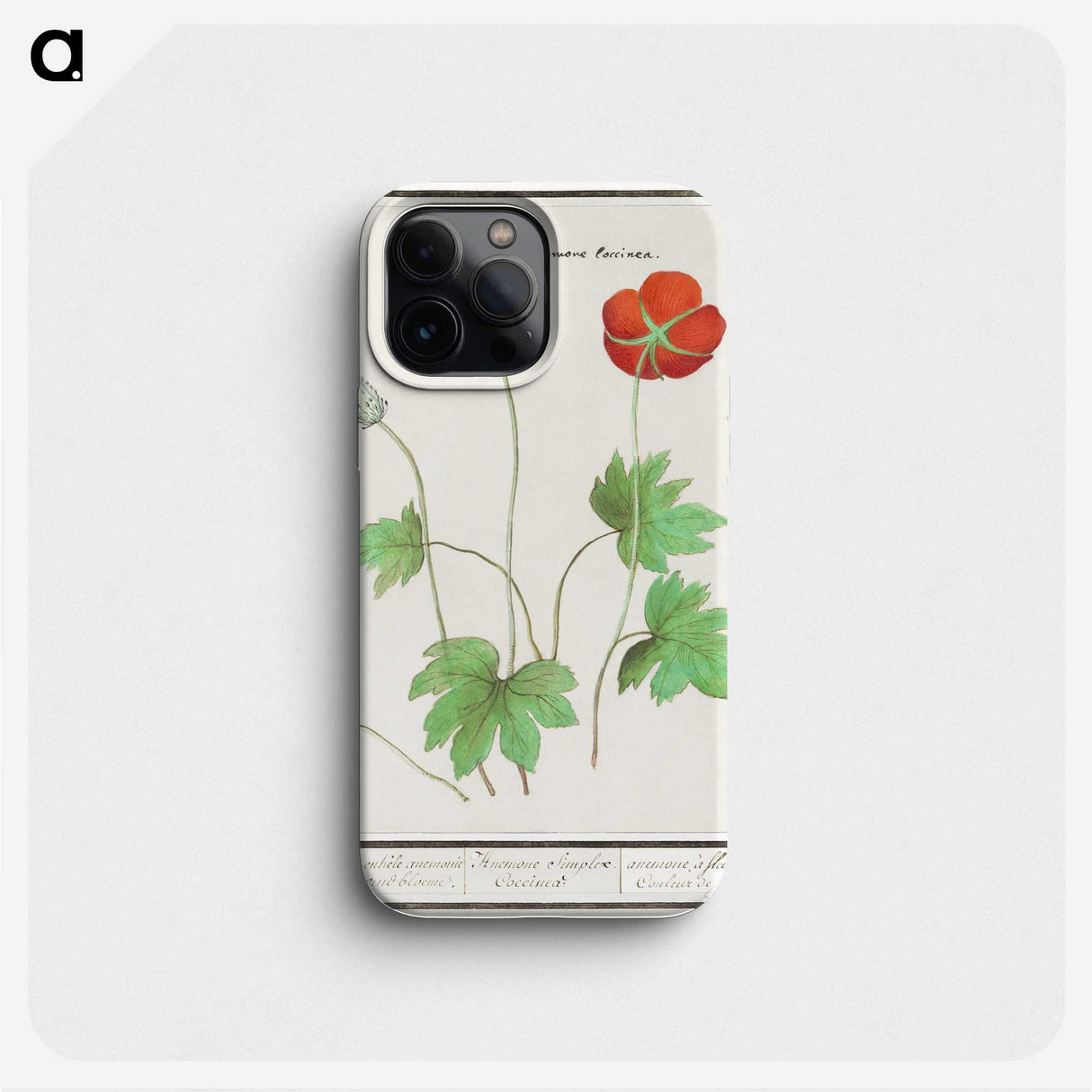 2-12_Anselmus-Boetius-de-Boodt_phone