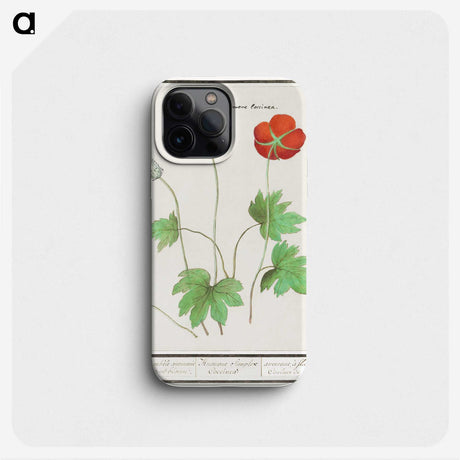 2-12_Anselmus-Boetius-de-Boodt_phone