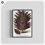 2-12_Botanical-Specimen-Plates_blk-crop