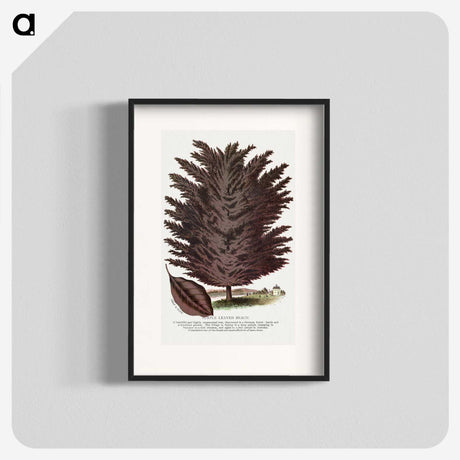 2-12_Botanical-Specimen-Plates_blk
