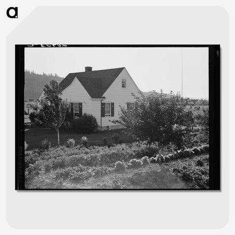 2-12_Dorothea-Lange_picture-crop