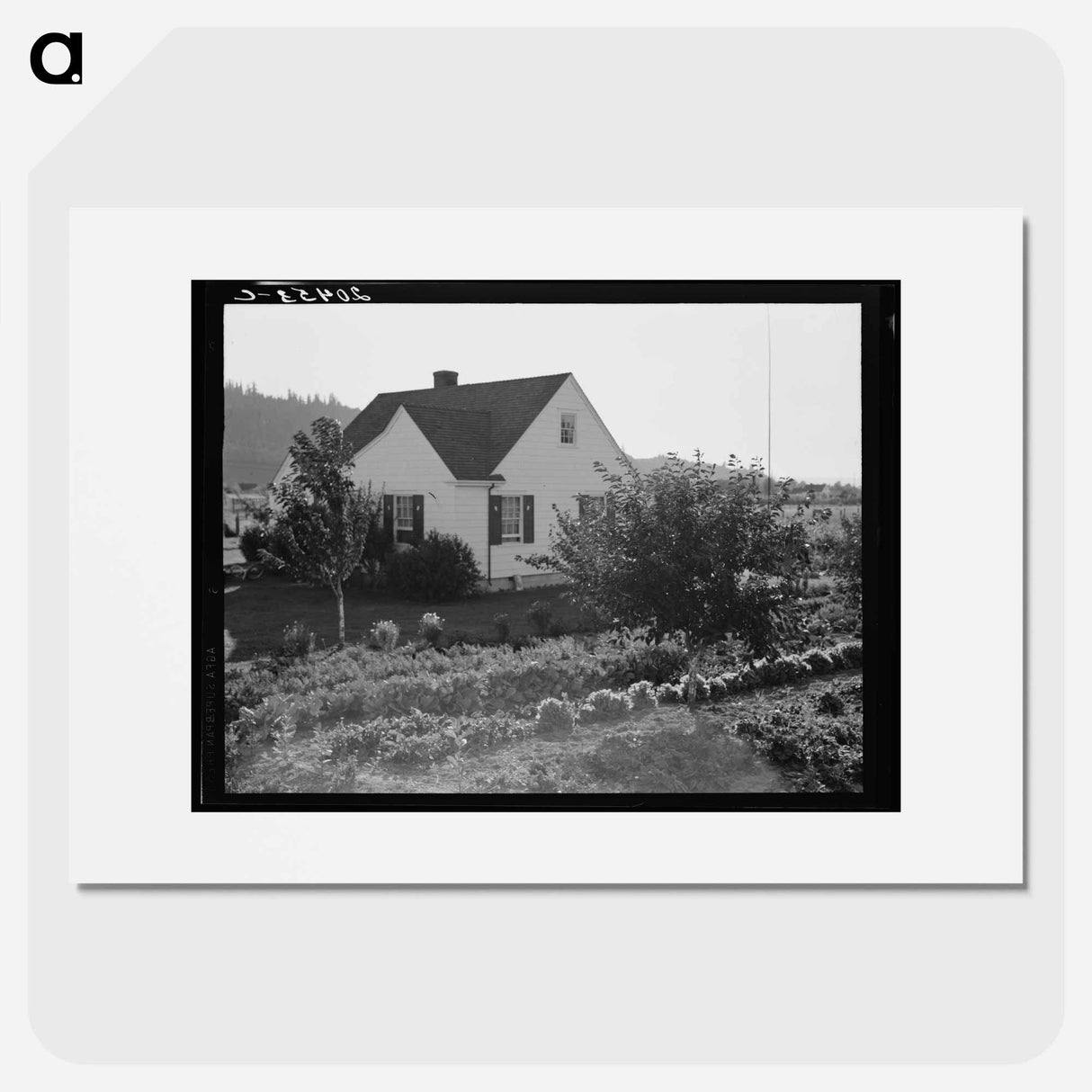 Untitled photo, possibly related to: Washington, Cowlitz County, Longview. Home on Longview homestead project - Dorothea Lange Poster.