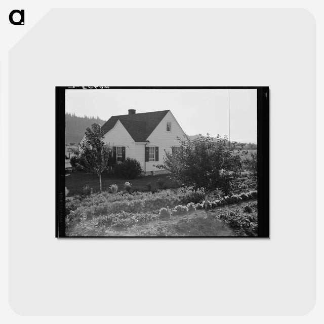2-12_Dorothea-Lange_postcard