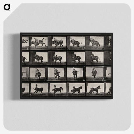 2-12_Eadweard-Muybridge_blk-crop
