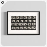 2-12_Eadweard-Muybridge_blk