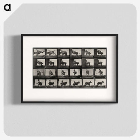 2-12_Eadweard-Muybridge_blk