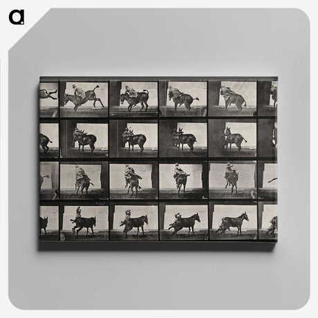 2-12_Eadweard-Muybridge_canvas