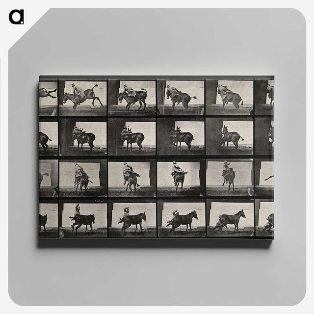 2-12_Eadweard-Muybridge_canvas