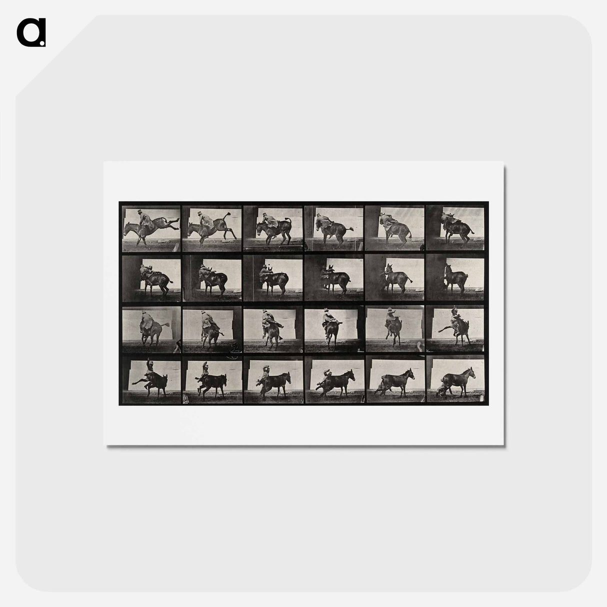 アートポストカード-Falling From Horseback
 - エドワード マイブリッジ Postcard.