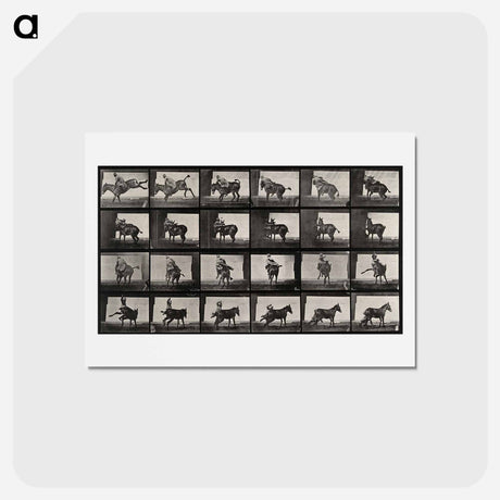 アートポストカード-Falling From Horseback
 - エドワード マイブリッジ Postcard.