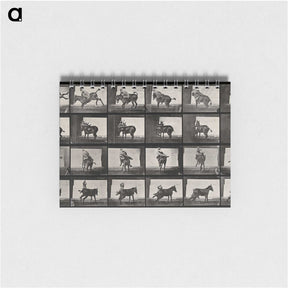 2-12_Eadweard-Muybridge_memo