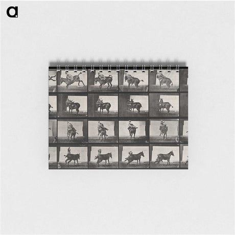2-12_Eadweard-Muybridge_memo