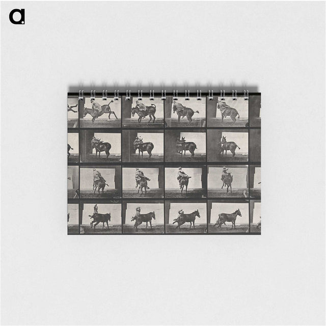 2-12_Eadweard-Muybridge_memo