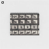 アートメモ帳-Falling From Horseback
 - エドワード マイブリッジ Memo.