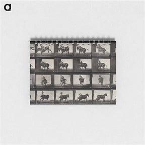 アートメモ帳-Falling From Horseback
 - エドワード マイブリッジ Memo.