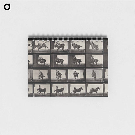アートメモ帳-Falling From Horseback
 - エドワード マイブリッジ Memo.