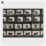 2-12_Eadweard-Muybridge_picture-crop
